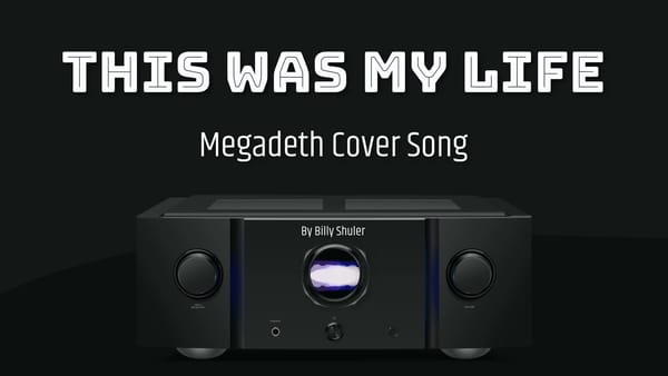 Megadeth - This Was My Life (Instrumental Cover)